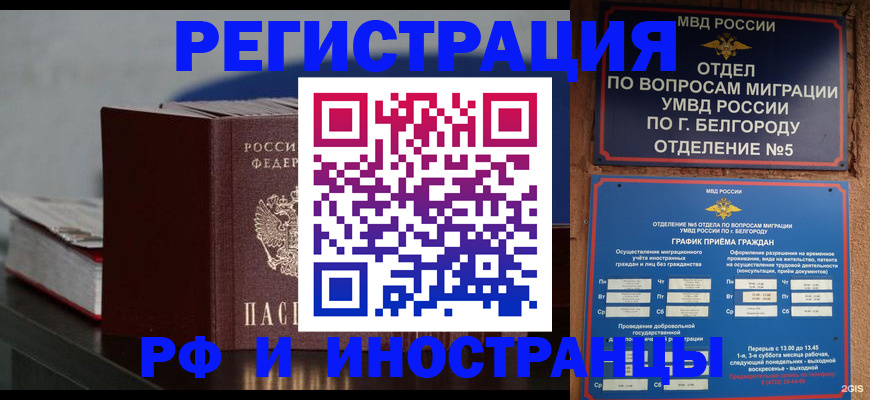 прописка 2025 в Димитровграде